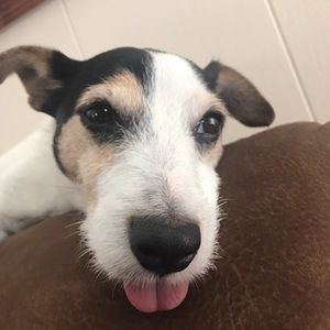 Meet your Posher, Danneane